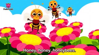 Fuzzy Buzzy Honeybees _ Bug Songs _ PINKFONG Songs for Chi