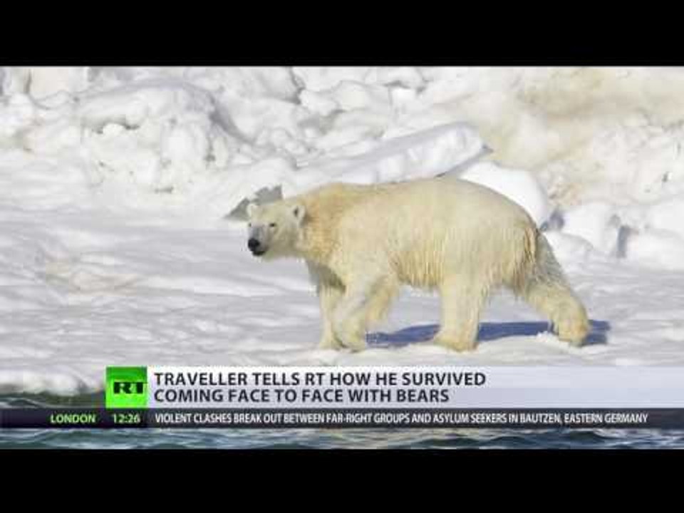 Bear-ly Alive: Arctic scientists surrounded by polar bears rescued after two-week siege
