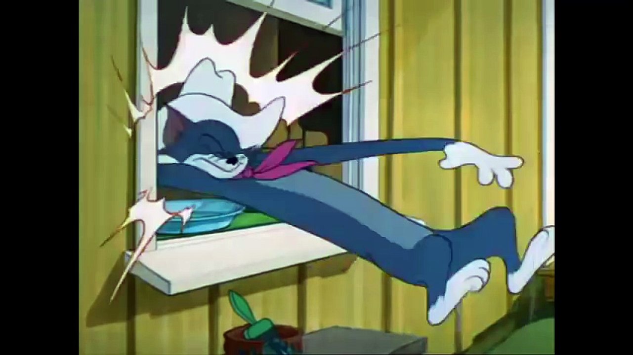 Tom and Jerry - Posse Cat -carton for kids tom and jerry