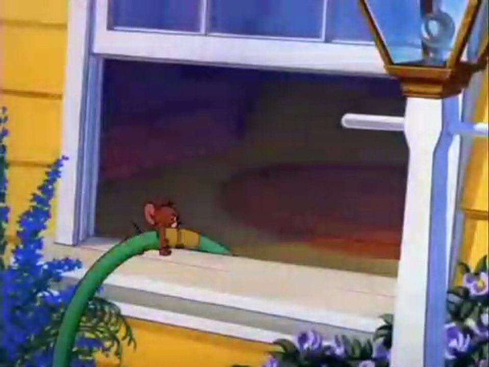 Tom and Jerry - Puss-button Kitty - carton for kids tom and jerry