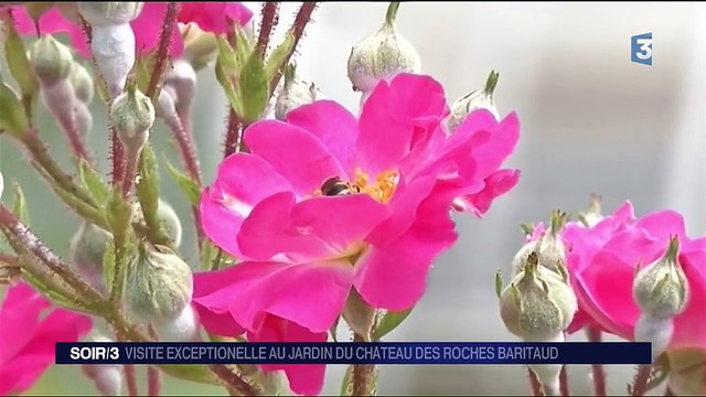 Fête des jardins : un château exceptionnel ouvre ses portes