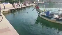 Un pêcheur harponne illégalement un marlin