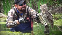 Lost Creek Country Club Golf Course Supt. Craig Loving saves an owl