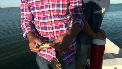 Klimawandel lässt US-Insel untergehen