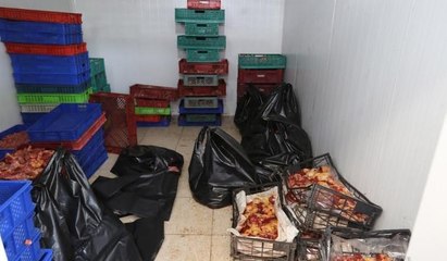 Sakarya'da mide bulandıran olay