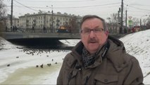 Rusi, 750 zogj e kalojnë dimrin në parkun Peterhov