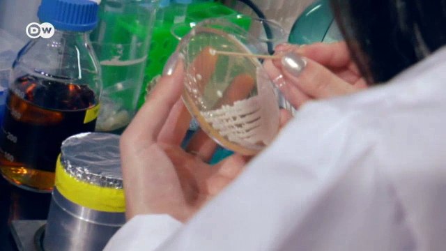 Research without borders | DW English