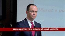 REFORMA NË DREJTËSI, BUSHATI: MË SHUMË SHPEJTËSI