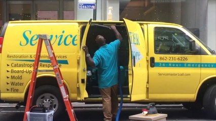 Bees cause traffic chaos after descending on van in New York