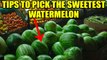 Watermelon selection tips | How to pick sweetest Watermelon | Tips to pick good Watermelon | Boldsky