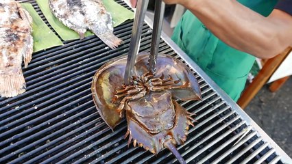 Thailand Street Food - HORSESHOE CRAB Salad