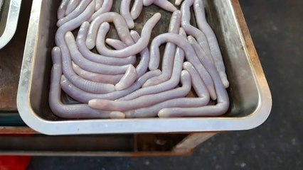 GRAPHIC - LIVE SAND WORMS China Street Food 北海沙虫