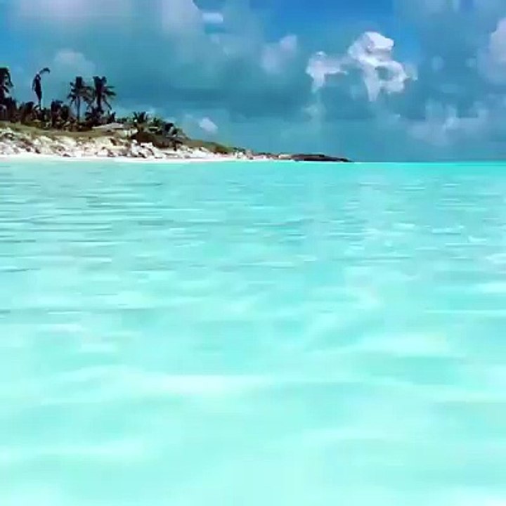 Luxury video