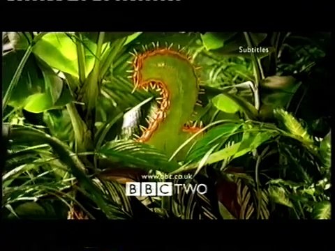 BBC2 Idents (November 2001)