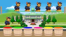 Colors for Children Learn with Color Paw Patrol Ryder - Color Ryder Learn Colors for Kids Videos 3