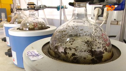 Ne Shtepine Tone, 21 Shkurt 2017, Pjesa 3 - Top Channel Albania - Entertainment Show