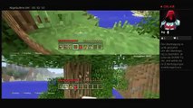 Minecraft survial (16)