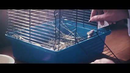 Marshmello - Alone (Official Music Video)