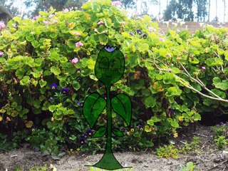 Una despreocupada flor. cuento para niños. cuento para padres