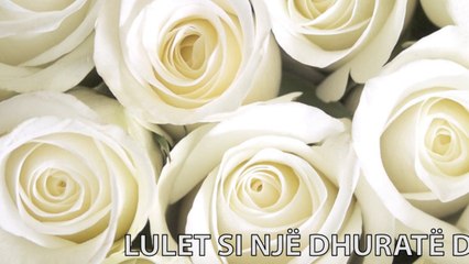 Report Tv -Rreze Dielli, Lulet si nje dhurate dhe kuptimi i tyre