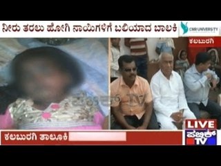 Gulbarga: 5 Year Old Girl Dies Of Stray Dog Attack When She Went To Fetch Water With Mother