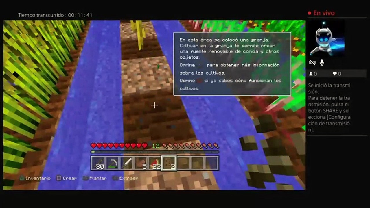 Minecraft (21)