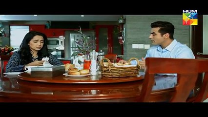 Woh Aik Pal Episode 13  - 3rd June 2017