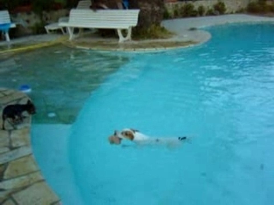 piscine Toulon