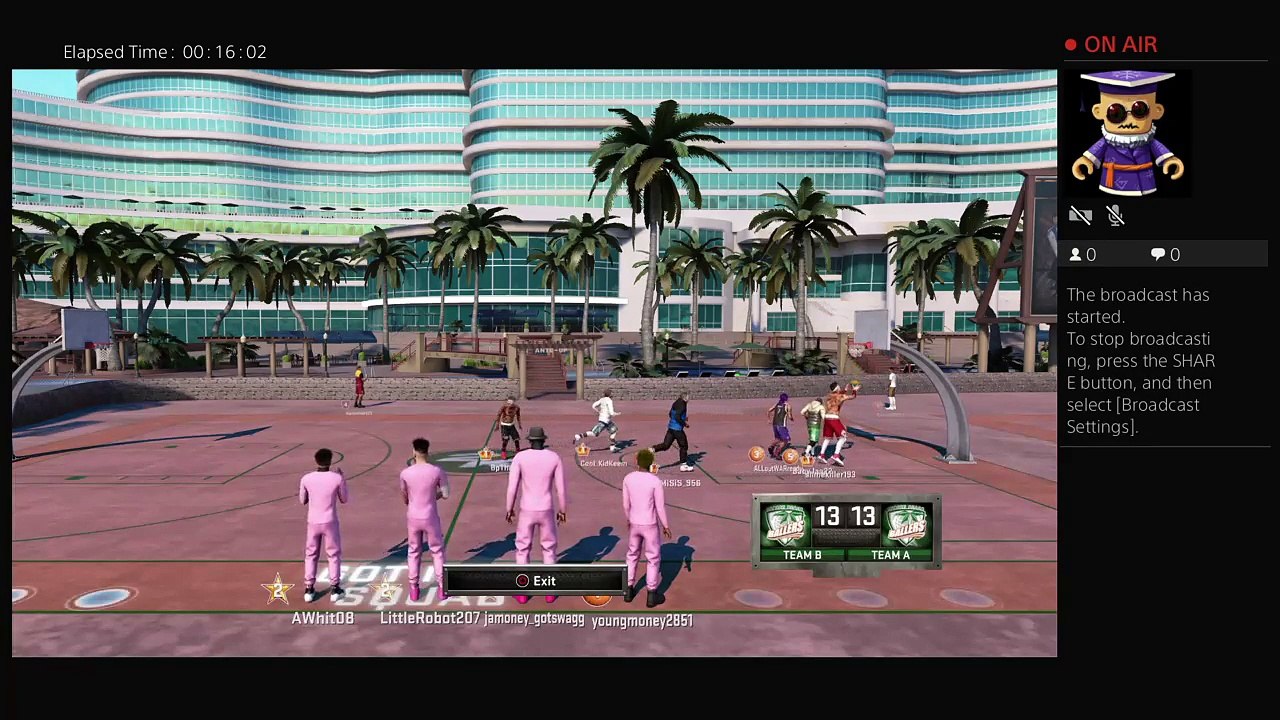 Playing mypark 2k16 (18)