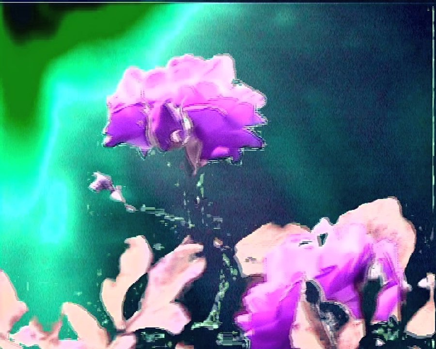 SPACE DISK IS FULL - VIDEO EXPERIMENTALE