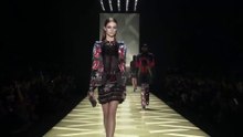 Roberto Cavalli Fall Fashion Show