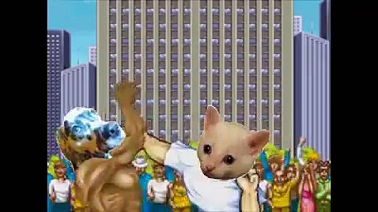 cats fighter