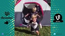 1..TRY NOT TO LAUGH or GRIN - Funny KIDS Fails Compilation 2016 (DECEMBER) -- by Life Awesome - YouTube