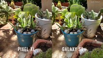 Samsung Galaxy S8  Vs Google Pixel XL Camera Compared