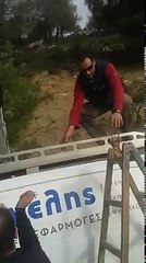 Trovano un capra appesa ad un cavo della corrente: la sua situazione è drammatica!