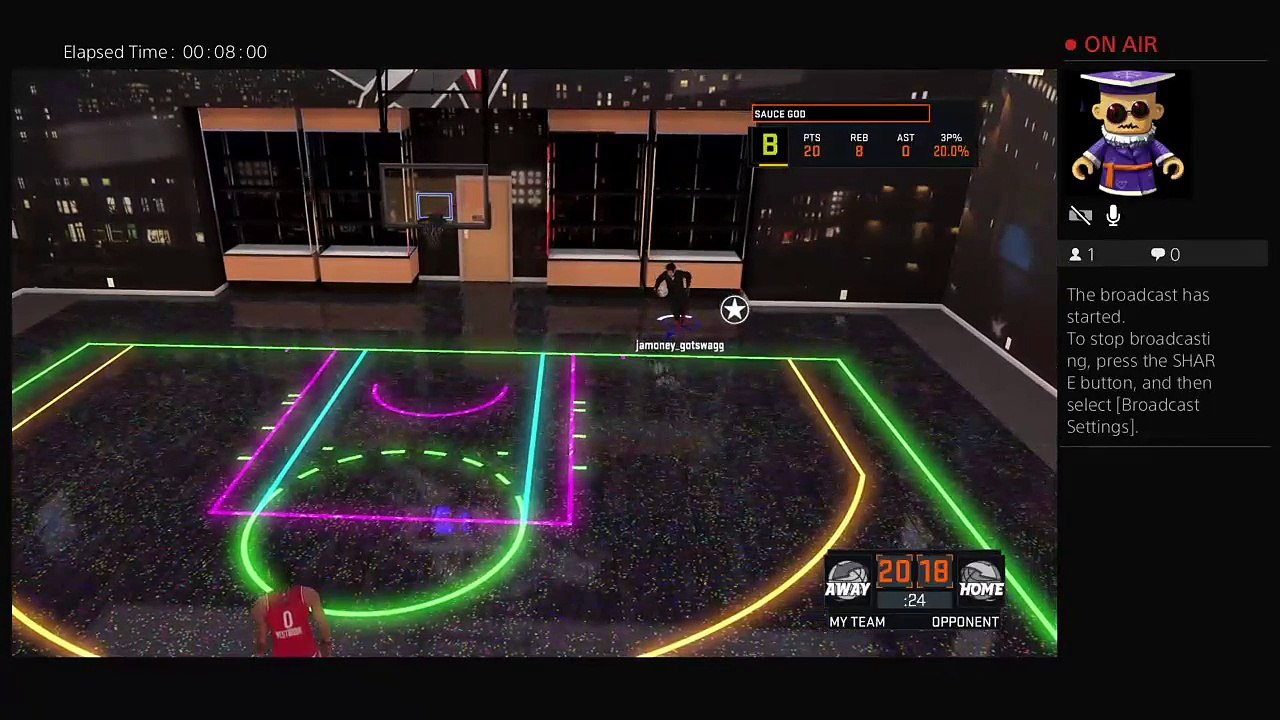 Playing mypark 2k16 (20)