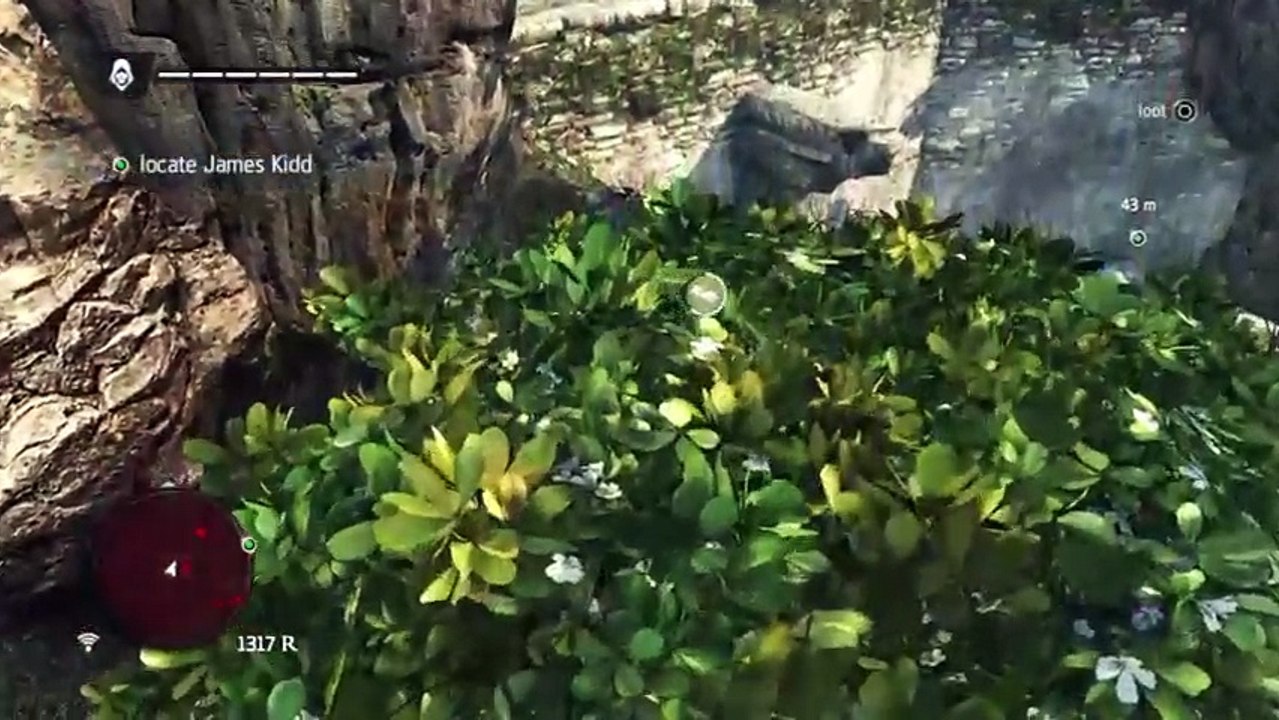 Assassin's Creed: BLACK FLAG* (7)