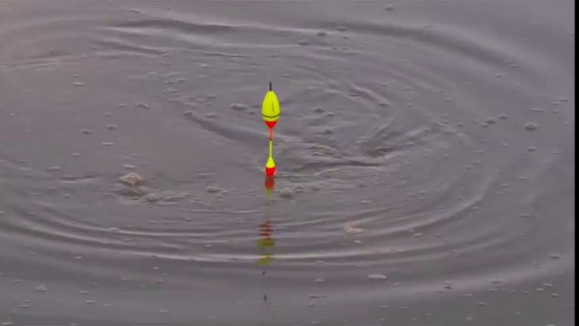 Yayın Balığı Avı