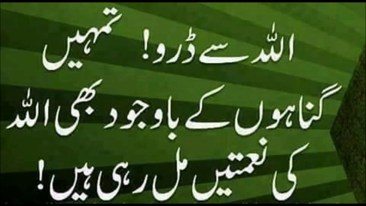 اللہ سے ڈرو اللہ اپ کو گناہوں کے باوجود سب نعمتیں مل ری ھے