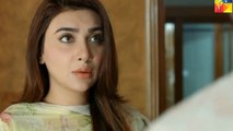 Woh Aik Pal Episode 13 Full on Hum Tv | 3 June 2017