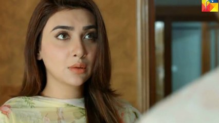 Woh Aik Pal Episode 13 Full on Hum Tv | 3 June 2017