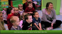 Animal Man Mini Zoo Nursery Visits _ 234sgow _ Childrens Parties