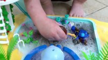 Paw Patrol Pool Timte Kid Genevieve Plays with Paw Patrol Toys to Help Kids Lear