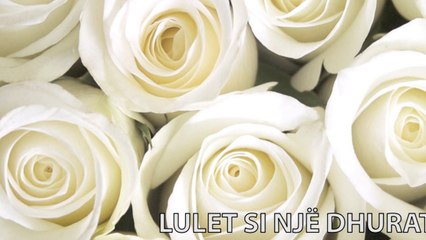 RREZE DIELLI - LULET SI NJE DHURATE DHE KUPTIMI I TYRE
