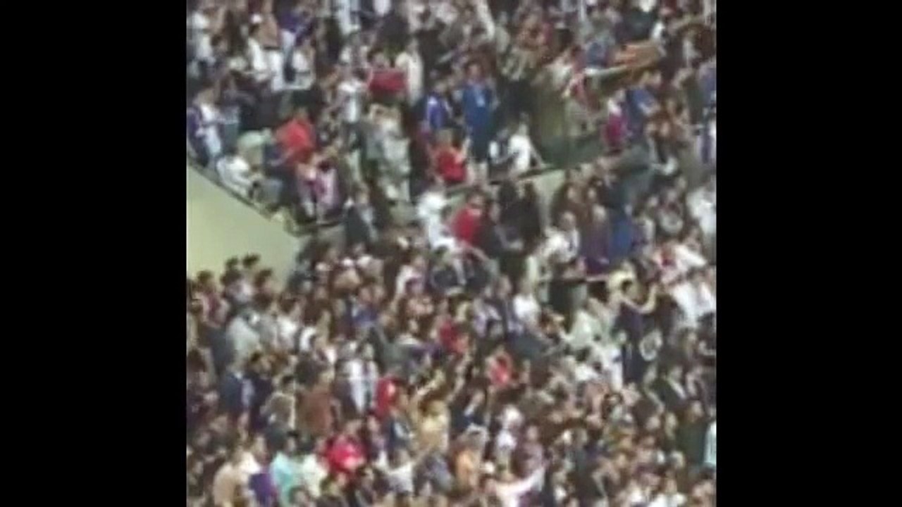 162.Lyon vs Besiktas 1-1 Goles y Resumen - Torcida invades the field in play!