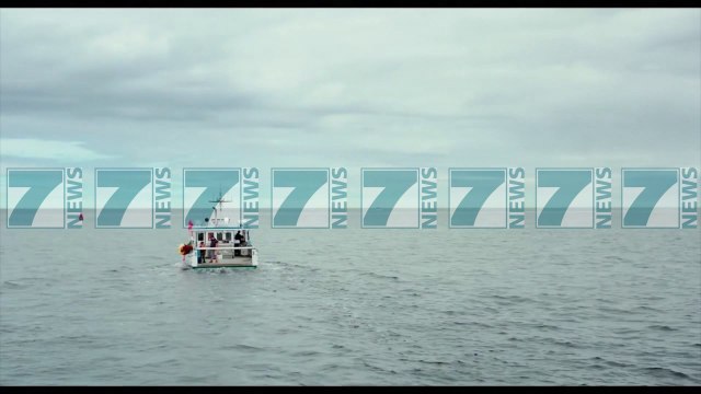 “MOONLIGHT” TRIUMFON NE ÇMIMET OSCAR - News, Lajme - Kanali 7