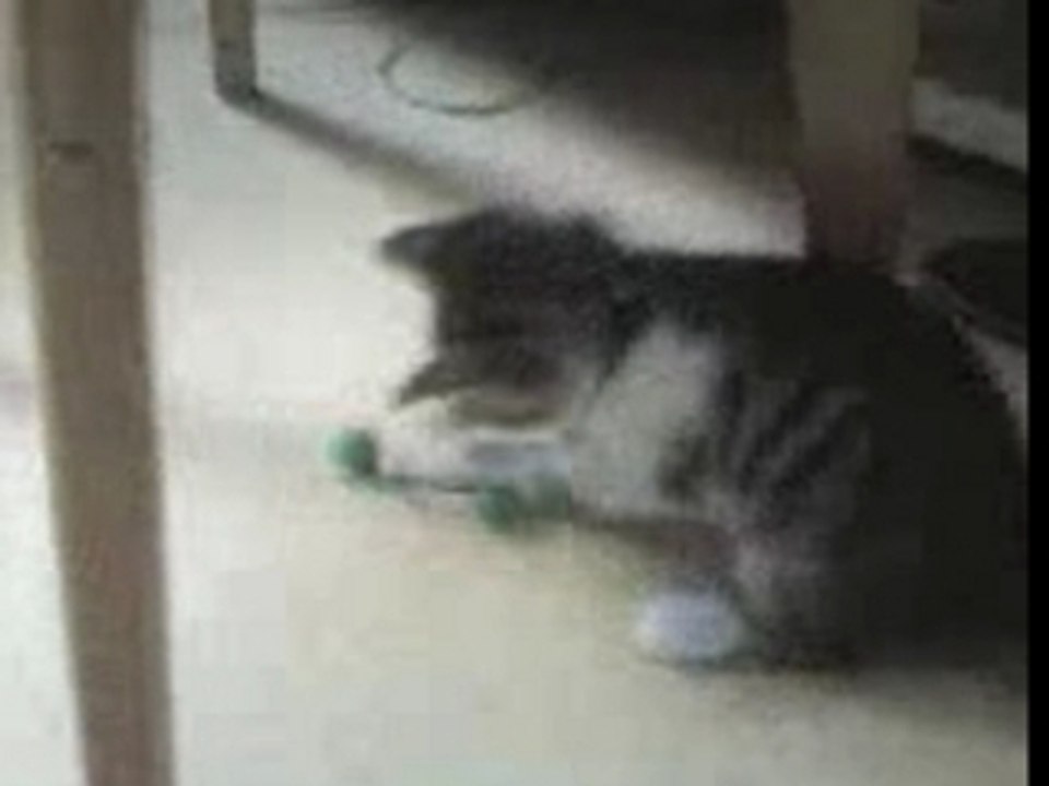 Minou
