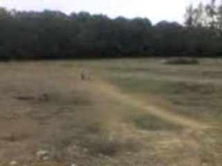 Hugo saut en dirt