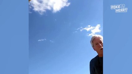 Son Pops Out of Trunk to Surprise Dad Video 2017 - Daily Heart Beat