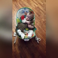 Baby Loves His Kitten Best Friend
